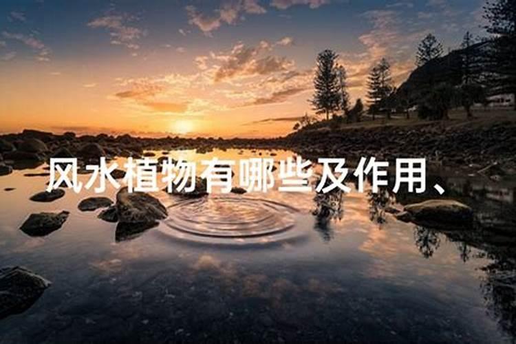 住宅风水的吉凶方位详解