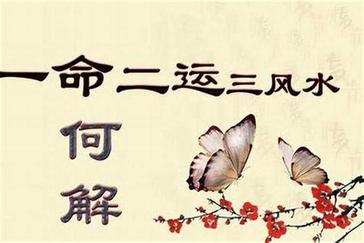 迁坟的意思是什么
