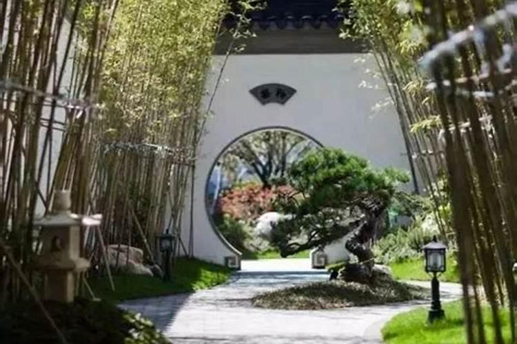 几月份栽竹子最好