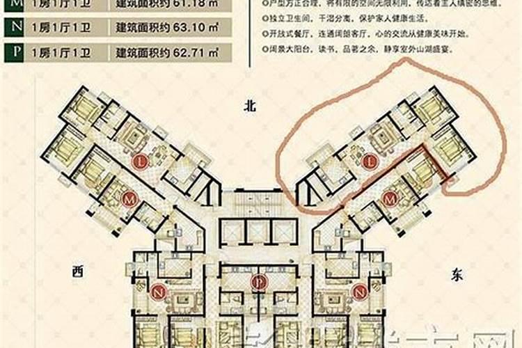 坟墓后面能修墙吗？