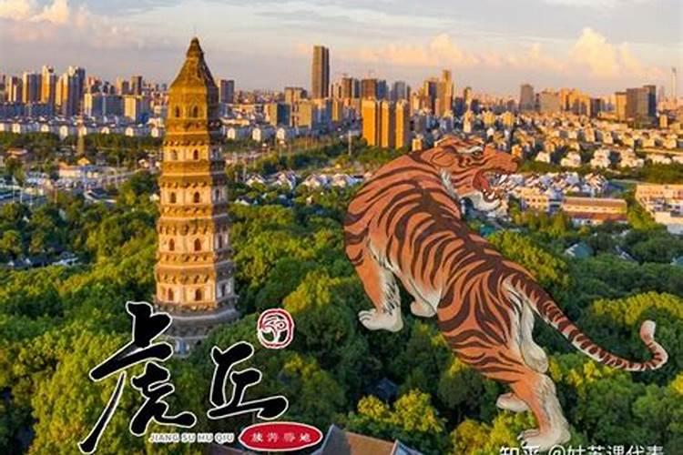 坟地的风水有哪些讲究？