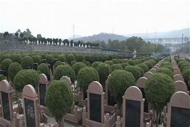 风水中墓地选址是东为尊还是西为尊