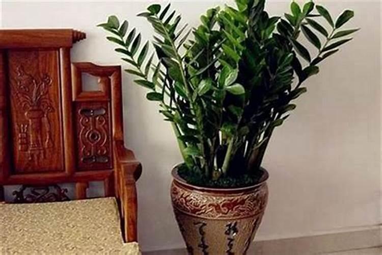 盖新房子不请风水先生行吗？