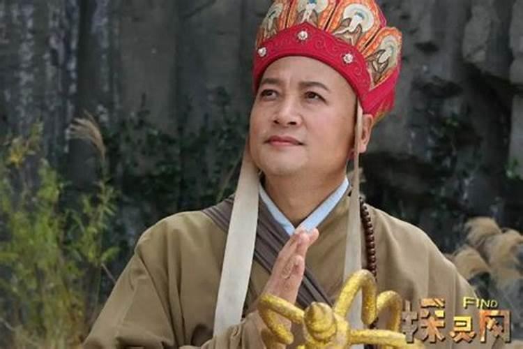 屋后种什么树有靠山风水好,房子后面栽什么树合适