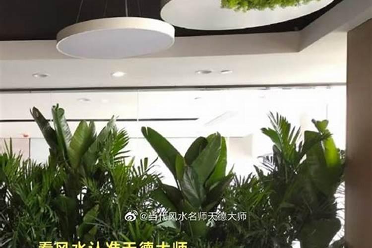 广东有哪些风水公司