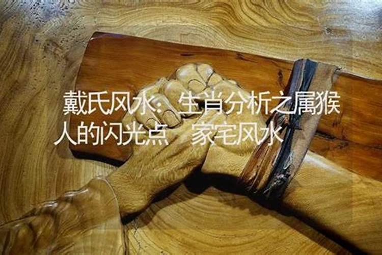 王相涵个人经历
