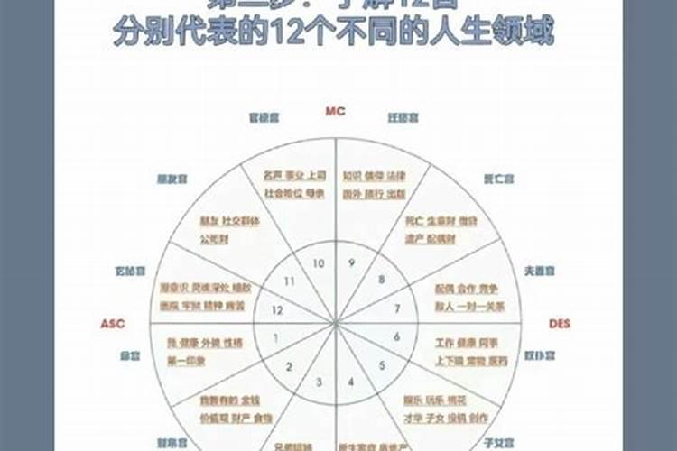 请问八字和星盘哪个算未来运程比较好