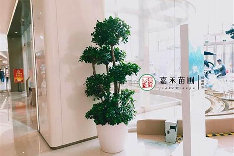 入户门后面挂点什么