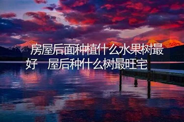 临沂哪个区风水好