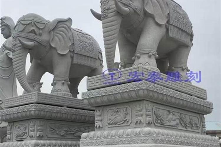 进门见大象好不好