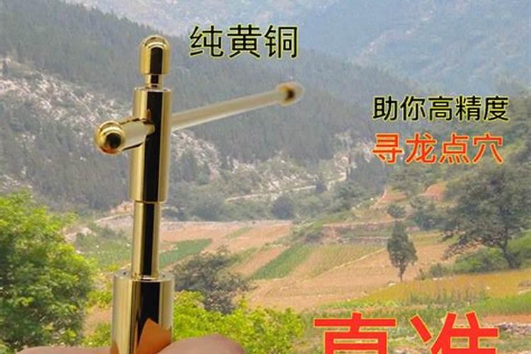 中国最权威的风水师是谁？有详细资料介绍吗