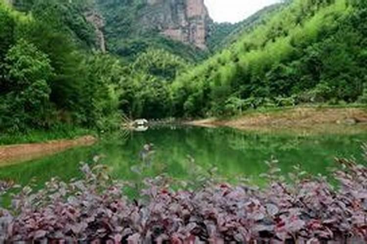 风水先生当今知名风水先生