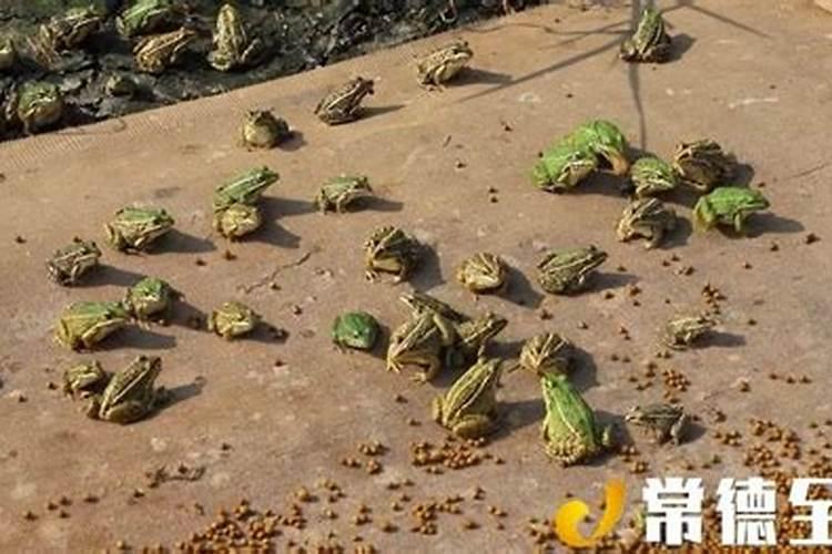 装修开工是个大日子,红包你会给多少？