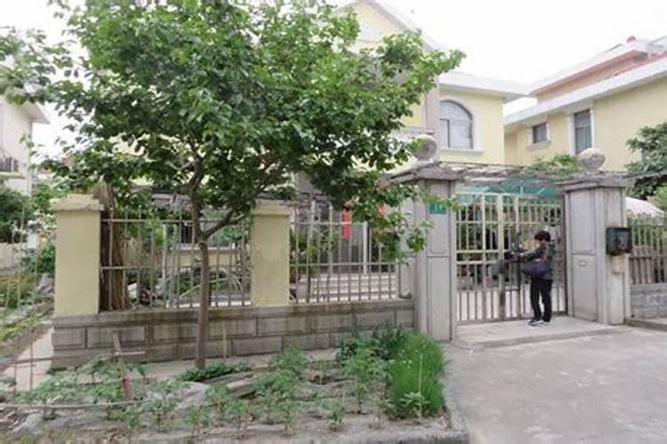 门前有树要不要砍掉 相关风水宜忌
