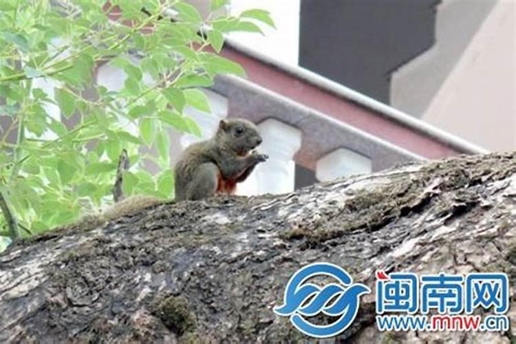 虎形地在哪个位置建房好