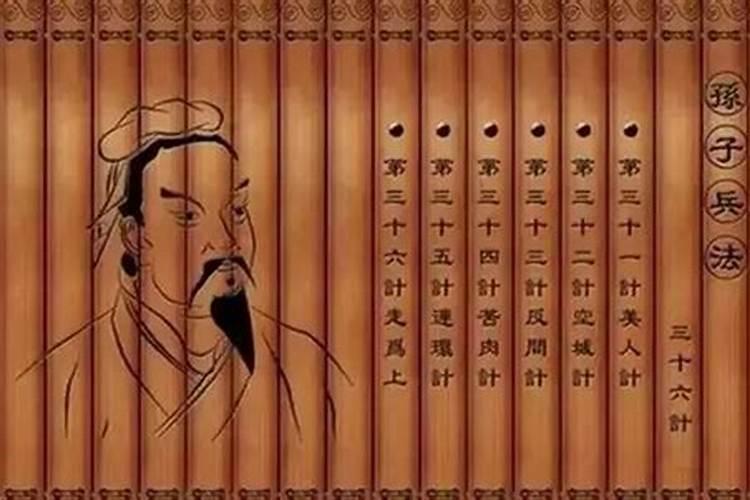 请问深圳市的市树是什么？