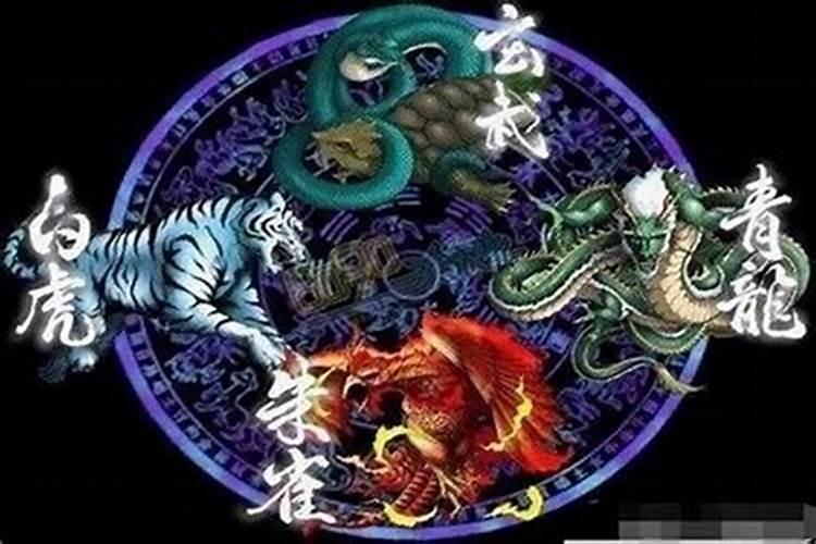 青龙白龙朱雀玄武都是什么