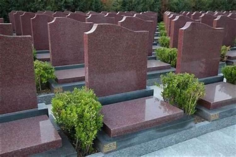 四川东旺园艺有限公司怎么样？