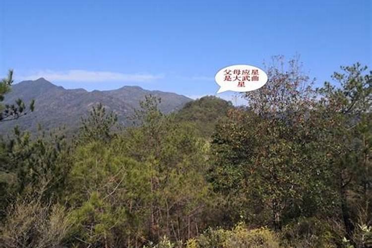 阳宅风水出人才口诀风水大全