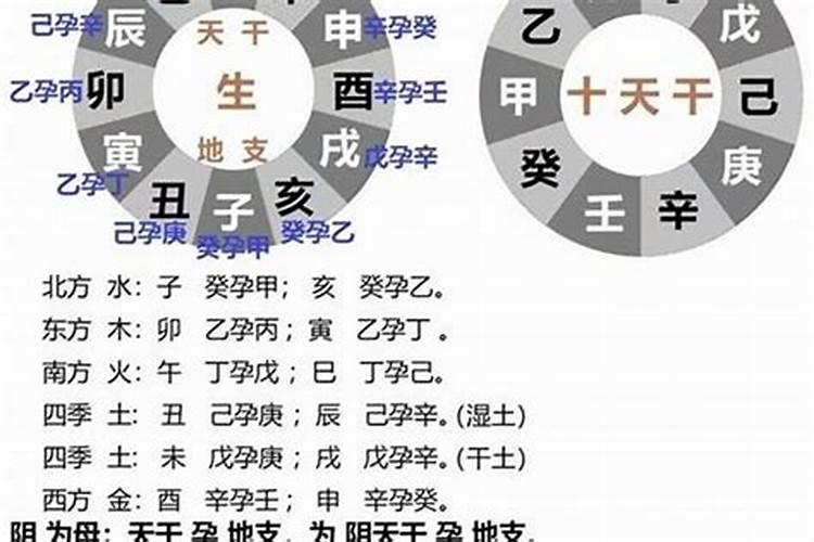 《玄空风水》中说洛书篇中的天干地支数怎么算？
