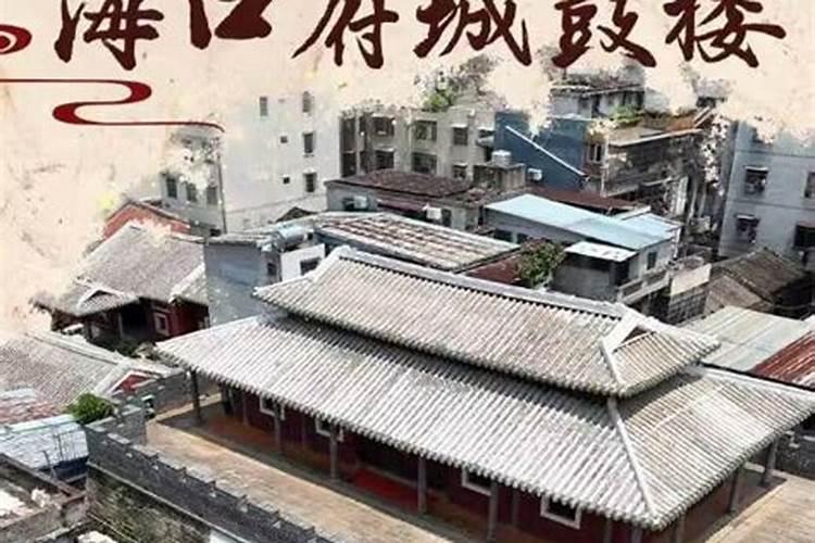 风水师杨公是谁