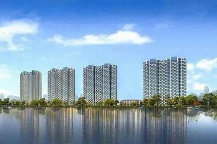 懂风水的大师,看看这2栋楼哪种风水好点？一栋沿街,一栋背后有河,纠结啊...