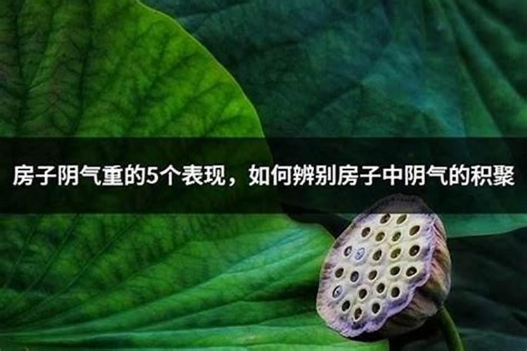 必知的阴宅选址风水忌讳