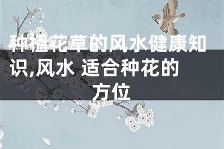 风水师为什么没有后代？