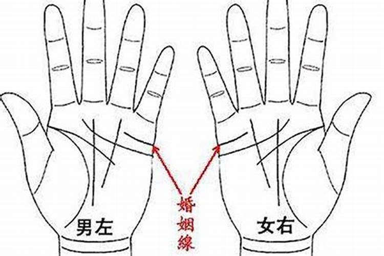 透过手相看哪五种人桃花最旺盛 手掌颜色预知你的一生运气