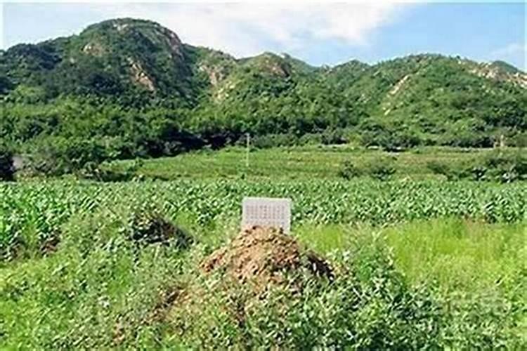 办公桌左右边摆什么好