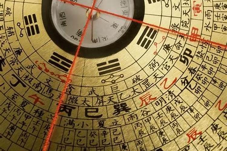 家里大厅养什么鱼旺财 适合客厅养殖的四大风水鱼