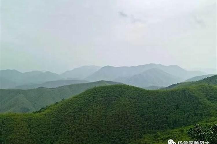 养什么鱼好风水 养啥鱼好风水