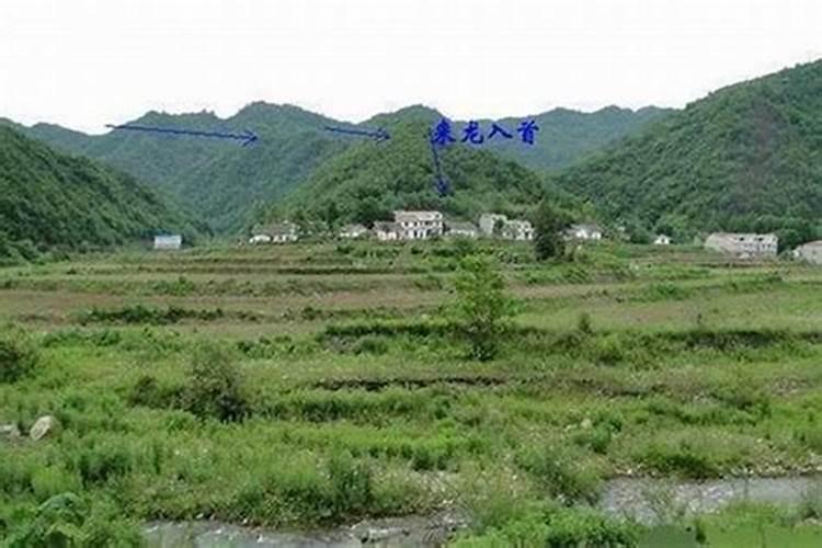 风水里面的“山星当旺“和“山星衰死”指的是什么意思？什么情况？