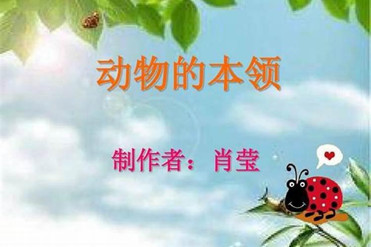 财运最好的卦
