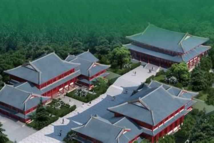 家中养什么乌龟招财