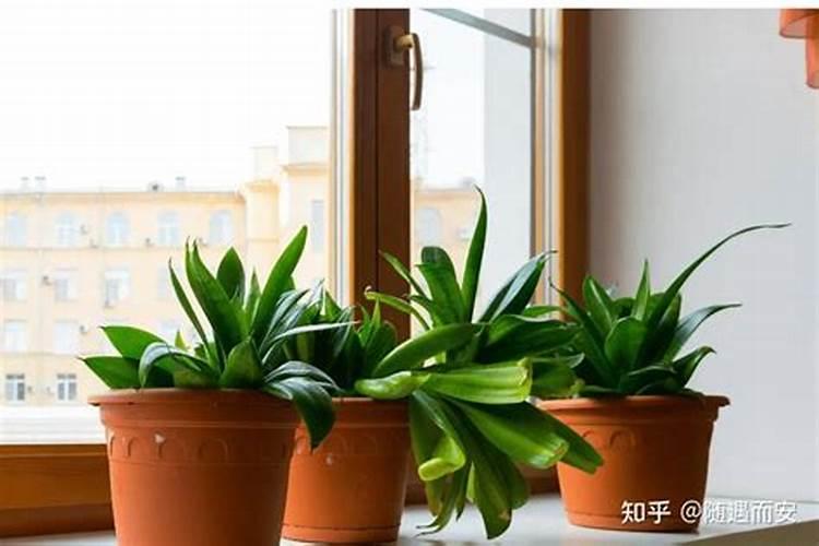 楼梯下做卫生间怎么设计