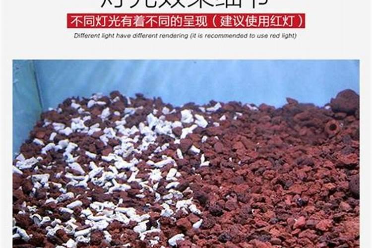 办公室风水禁忌及风水布局