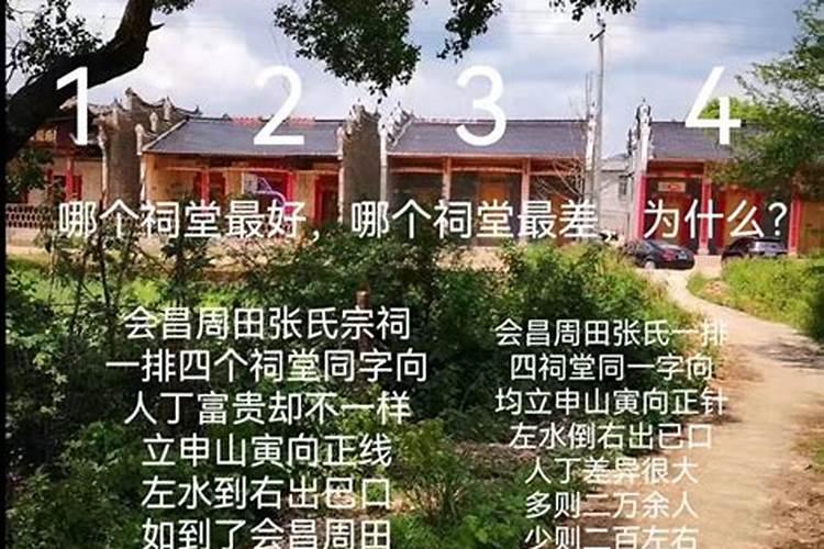 别墅种什么树风水好,种什么树破坏风水
