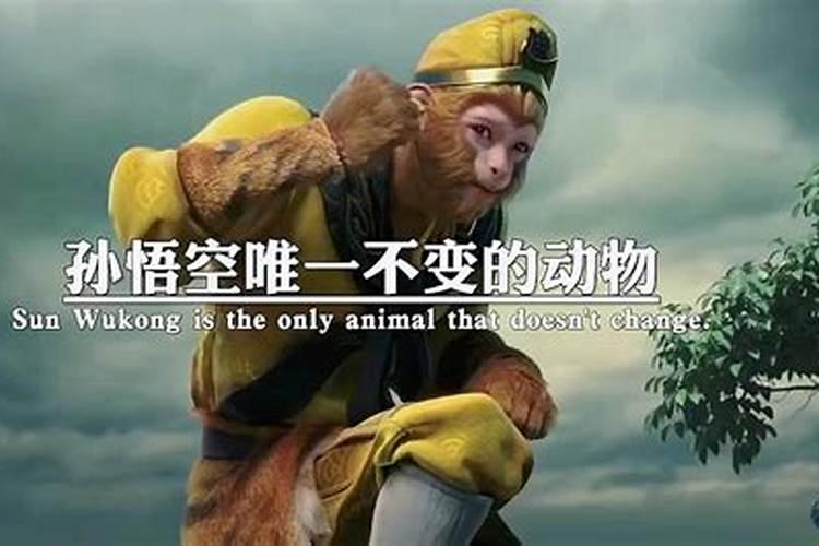 孙悟空摆件的忌讳和风水作用孙悟空摆件风水寓意