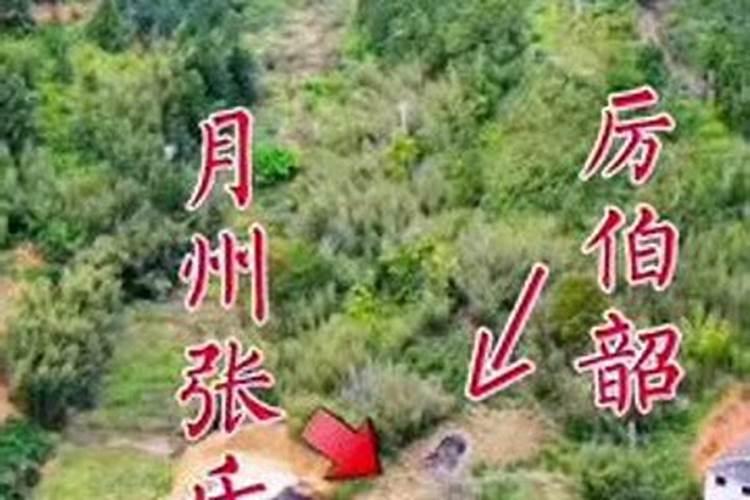 袁天罡是哪个朝代的人？