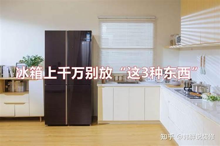 冰箱上放什么东西招财 冰箱上面放什么东西招财
