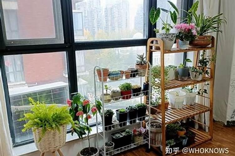 窗子什么颜色好看
