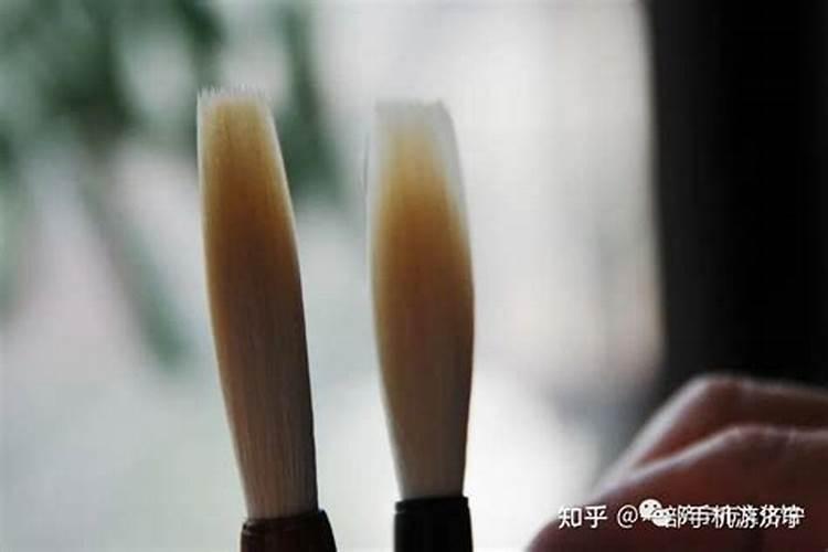 利用文昌位旺学业风水布局