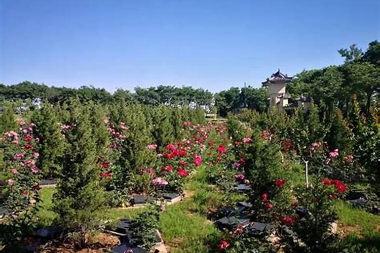 依据什么能把墓葬来定性为古墓？