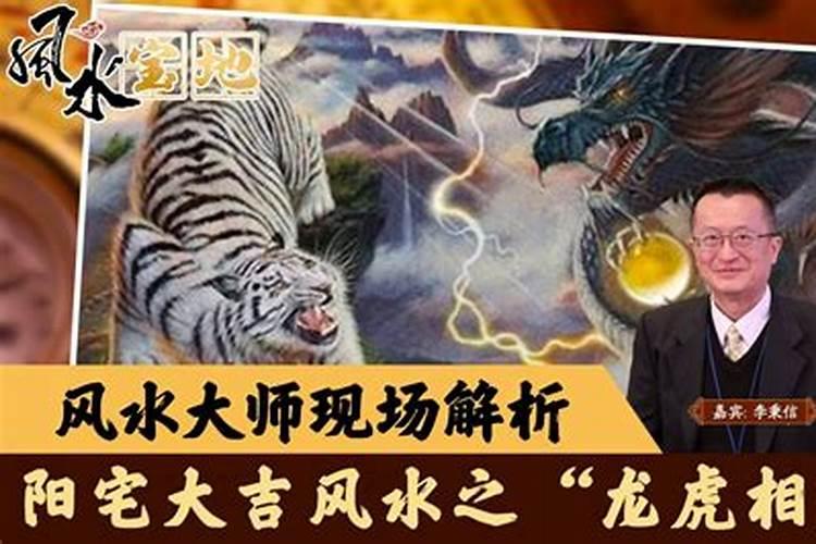 最新美国综艺节目排行榜(美国比较著名的综艺节目有哪些)