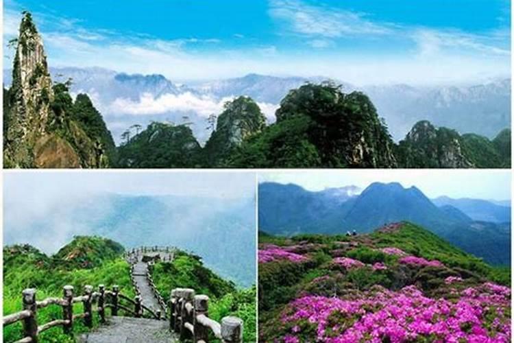 请介绍下杭州的各大旅游景点,高分!