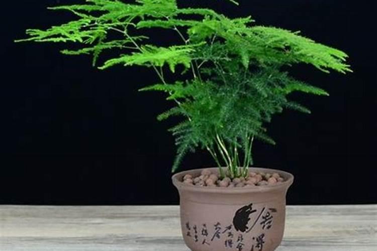 什么风水吸火最旺财运最好