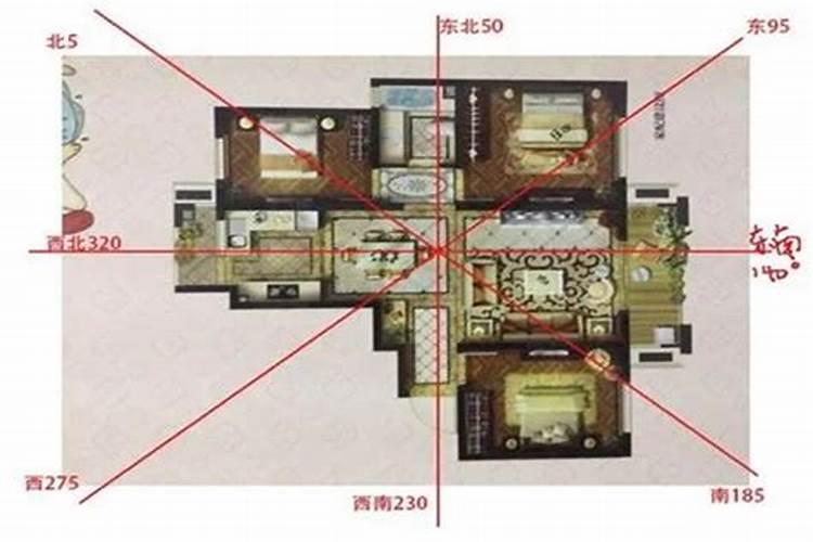 为什么在办公室里养鱼好？