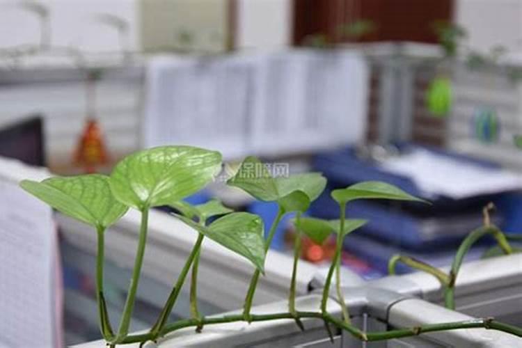 出门之前注意什么风水