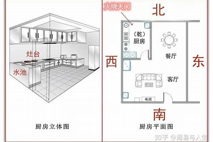 别墅庭院种什么草花好